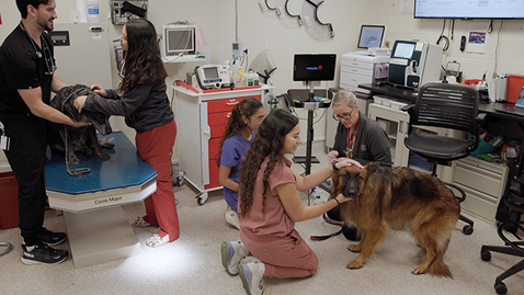 Thumbnail for More Than an ER - Building the Future of Veterinary Medicine at Virginia Tech