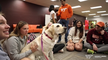 VT Therapy Dogs bring joy to students in Newman Library | VTx | Virginia  Tech