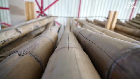 Thumbnail for Research into bamboo shows a sustainable and natural raw building material