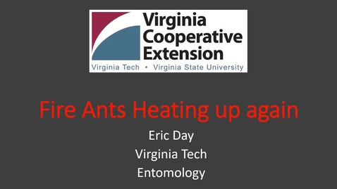 Thumbnail for entry Fire Ants Heating Up Again