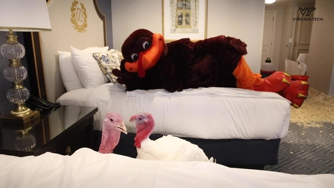 Thumbnail for The Presidential Turkeys in Washington, D.C.
