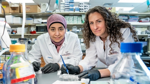 Thumbnail for Fundamental understanding of a molecule‘s normal function could inform treatments for a variety of brain disorders