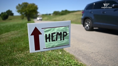 Thumbnail for Monitoring pollen levels with drones at Hemp Research Day