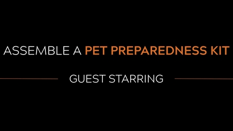 Thumbnail for entry Assemble A Pet Preparedness Kit