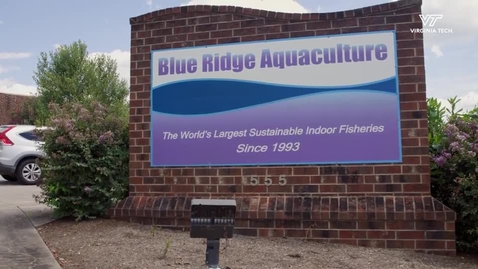 Thumbnail for Inside the largest indoor tilapia facility in the USA: A vet student’s unique rotation experience