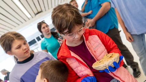 Thumbnail for Brain School Brings Neuroscience to Life