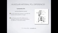Go to Alveolar Gas Equation and the Alveolar-Arterial PO2 difference (Ch14) with duration: 8 minutes, 30 seconds