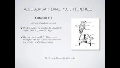 Thumbnail for Alveolar Gas Equation and the Alveolar-Arterial PO2 difference (Ch14)