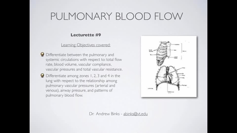Thumbnail for entry Pulmonary Blood Flow (Ch9)