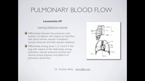 Thumbnail for Pulmonary Blood Flow (Ch9)