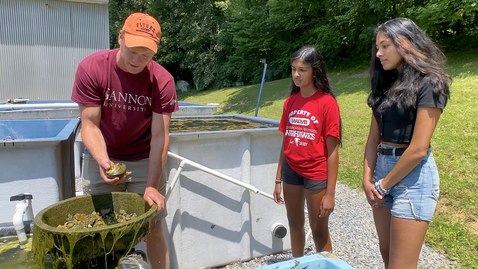 Thumbnail for entry Hutton Program brings budding marine biologists to campus