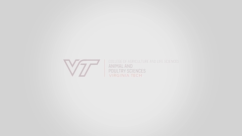Thumbnail for Virginia Tech Department of Animal and Poultry Sciences