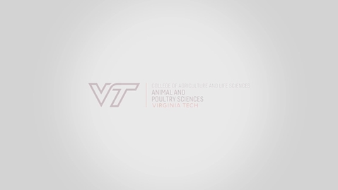 Thumbnail for entry Virginia Tech Department of Animal and Poultry Sciences