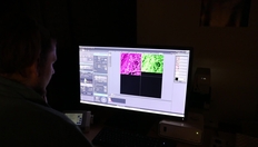 Go to Collaborative grant takes on brain cancer with duration: 2 minutes, 48 seconds
