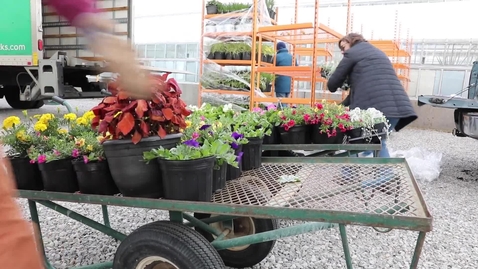 Thumbnail for Plant Sale Promo Video