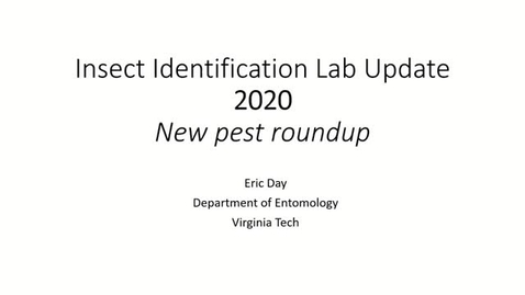 Thumbnail for entry Insect ID Lab Update