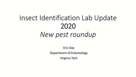Thumbnail for Insect ID Lab Update