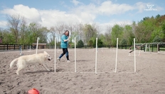 Go to The Virginia-Maryland College of Veterinary Medicine's Annual Open House April 2023 with duration: 2 minutes, 33 seconds