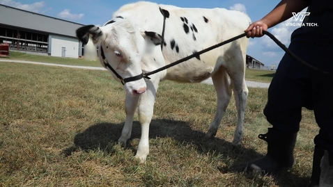 Thumbnail for Dairy Handling 101