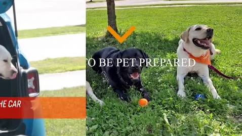 Thumbnail for entry 5 Tips to be Pet Prepared