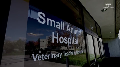 Thumbnail for Veterinary Teaching Hospital Expansion and Renovation