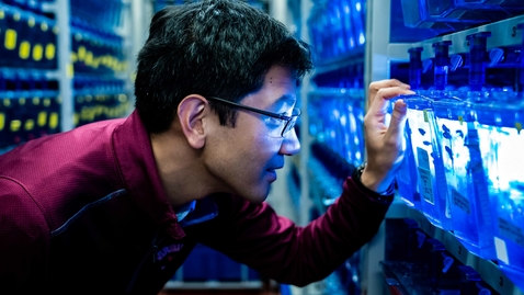 Thumbnail for Virginia Tech researcher's discovery may lead to a better understanding of mental health disorders related to stress, anxiety