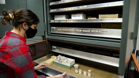 Thumbnail for CNRE Museum collection seeks to expand to broaden students hands-on learning experiences
