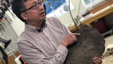 Go to Geosciences professor discovers 550 million-year-old fossil with duration: 1 minute, 23 seconds