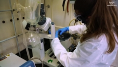 Go to Medicinal Chemistry Lab offers students insight into testing and developing new drugs with duration: 2 minutes, 25 seconds
