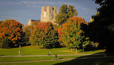 Go to Why do leaves change color in Autumn? with duration: 1 minute, 45 seconds