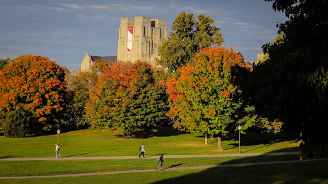 Thumbnail for Why do leaves change color in Autumn?