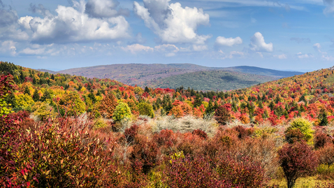 Thumbnail for entry When to expect fall colors to peak