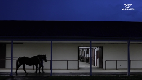 Thumbnail for Virginia Tech's Marion duPont Scott Equine Medical Center