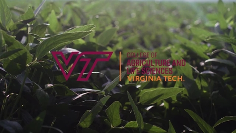 Thumbnail for AG Expo 2020 Michael Downing