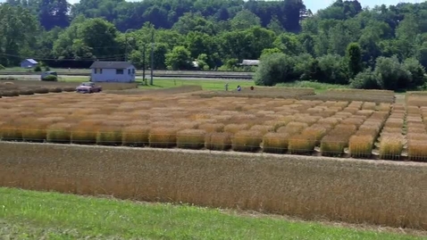 Thumbnail for entry Pamela Northam, First Lady of Virginia, visits Kentland Farm during Virginia Ag Week