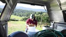 Go to Jaclyn Fiola's Soil Research with duration: 2 minutes, 8 seconds