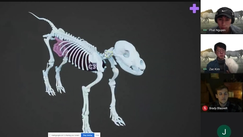 Thumbnail for Project Develops 3D Technology For Veterinary Education