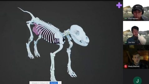 Thumbnail for entry Project Develops 3D Technology For Veterinary Education