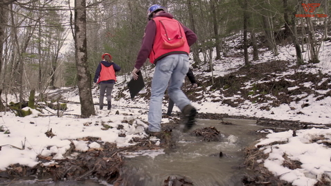 Thumbnail for Field Experiences in Forest Resources and Environmental Conservation