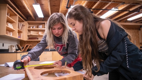 Thumbnail for Exploring wood science with InsideTREES
