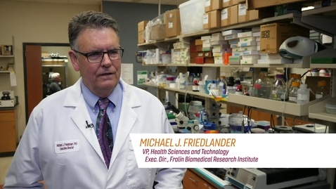 Thumbnail for Fralin Biomedical Research Institute at VTC: Michael Friedlander