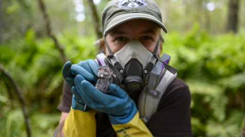 Thumbnail for Virginia Tech students take part in wildlife field techniques course