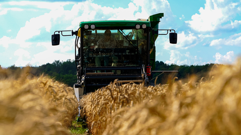 Thumbnail for entry Using technology and science to cultivate future breeds of wheat