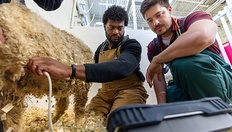 Go to The making of a veterinarian with duration: 6 minutes, 54 seconds