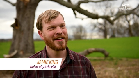 Thumbnail for Tending to Virginia Tech's trees