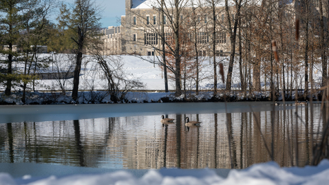 Thumbnail for entry Sounds of the half-frozen Duck Pond