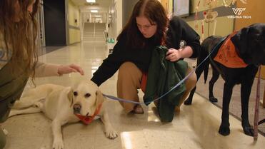 Virginia Maryland College of Veterinary Medicine Open House April ...
