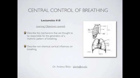 Thumbnail for Control of Breathing: Central Control (Ch17)