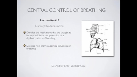 Thumbnail for entry Control of Breathing: Central Control (Ch17)