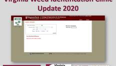 Go to Weed ID Clinic Update with duration: 7 minutes, 51 seconds